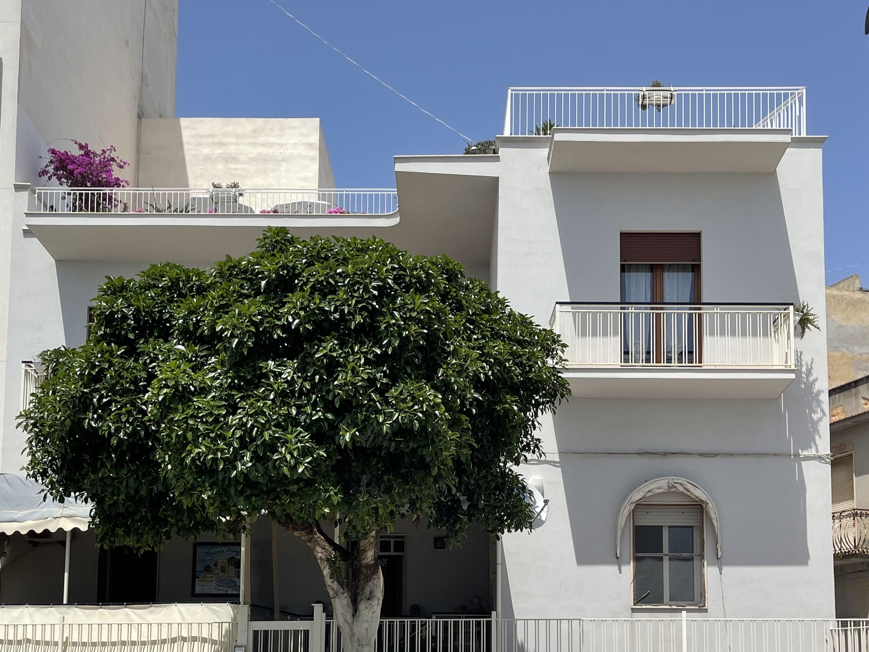 La facciata di Sunset Terrace Mazara in Via IV Aprile vista dal lungomare, con l’albero davanti e la terrazza sul tetto