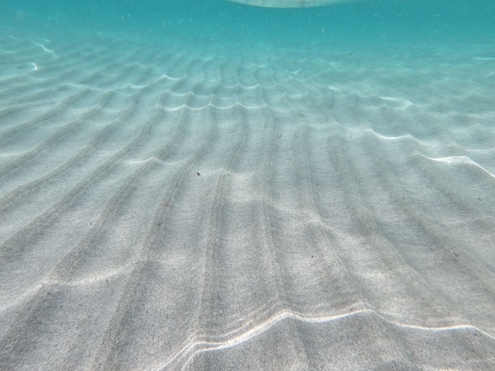 Fondale di sabbia increspata sotto acqua bassa e trasparente